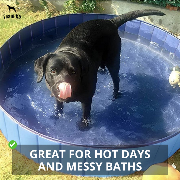 Pop-Up Dog Pool Foldable - Outdoor Bath And Pool For Pets, Summer 2025 Easy Setup, Side Drain, Durable Lining