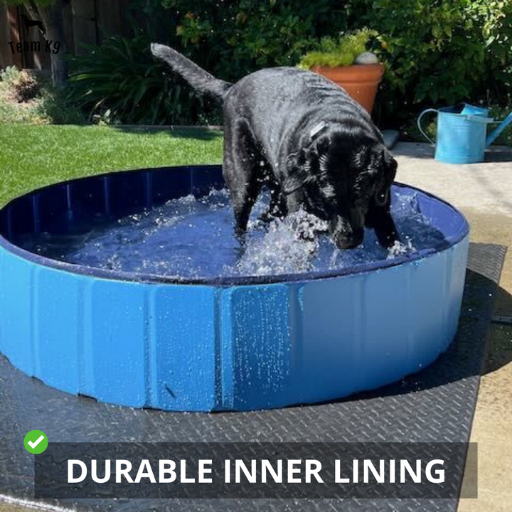Pop-Up Dog Pool Foldable - Outdoor Bath And Pool For Pets, Summer 2025 Easy Setup, Side Drain, Durable Lining