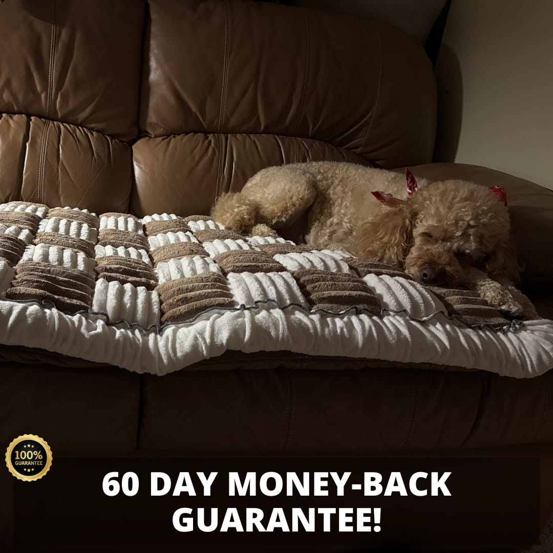Furniture Protector Thick Orthopaedic Padding Couch Cover Fall 2025 Cozy Pet Safe Sofa Shield
