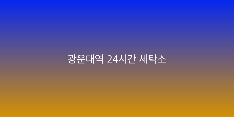 광운대역 24시간 세탁소