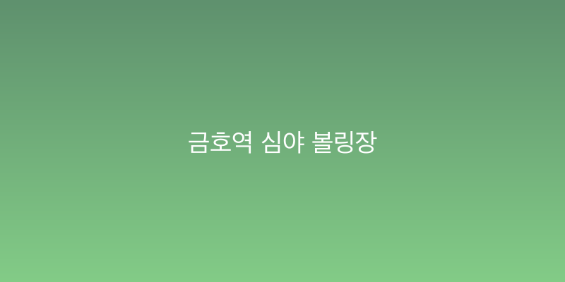 금호역 심야 볼링장