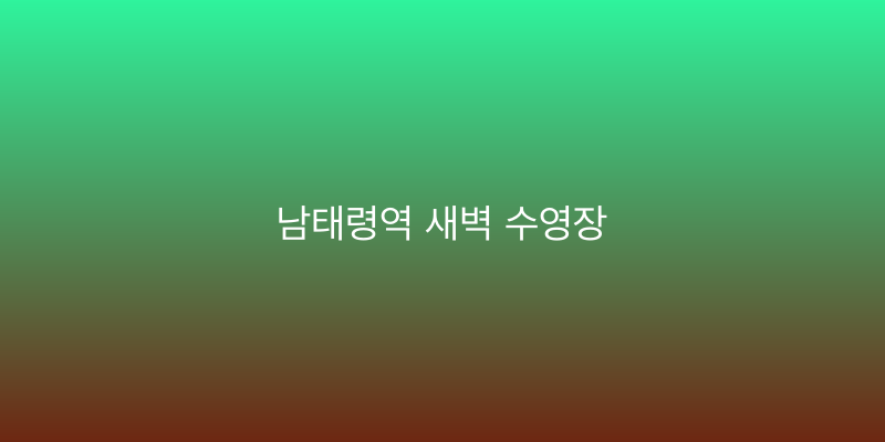 남태령역 새벽 수영장