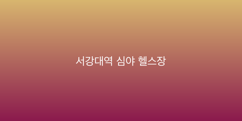 서강대역 심야 헬스장