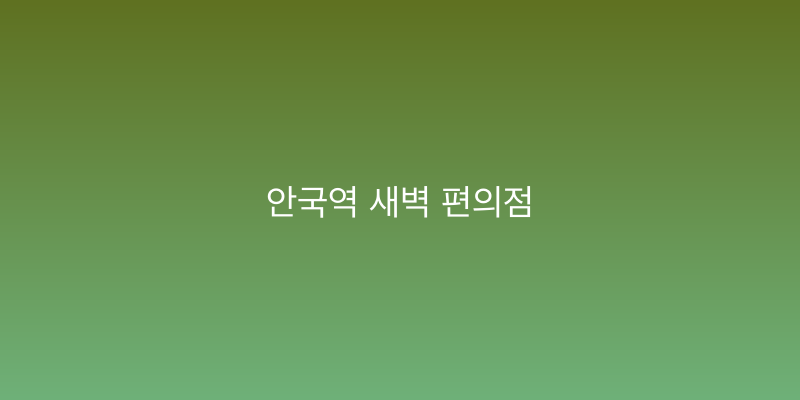 안국역 새벽 편의점