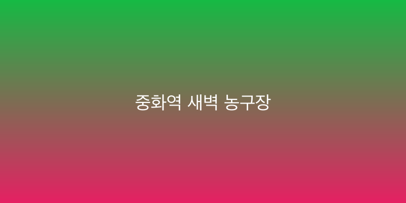 중화역 새벽 농구장