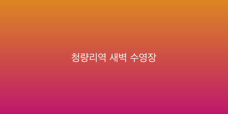 청량리역 새벽 수영장